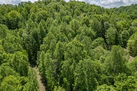 562 Griffith Branch Rd, Madisonville, TN 37354