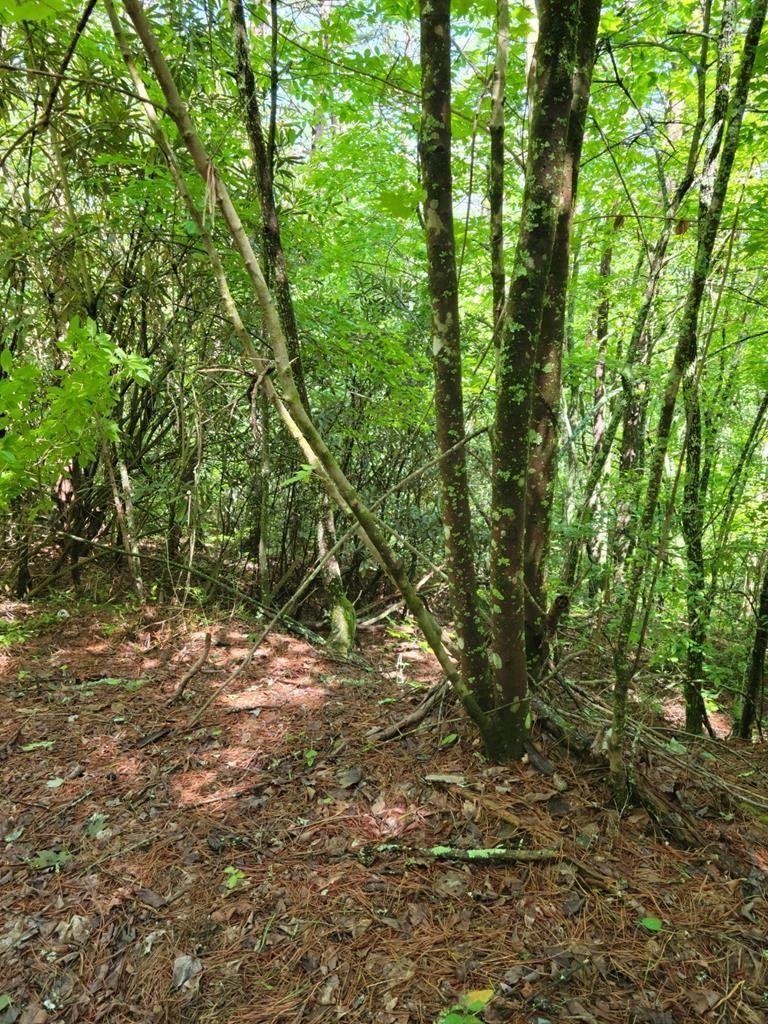 Lot 34 Belaire Dr  