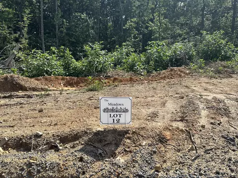 lot12 The Mdws, Riceville, TN 37370