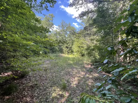 56 Ac Highway 68, Tellico Plains, TN 37385