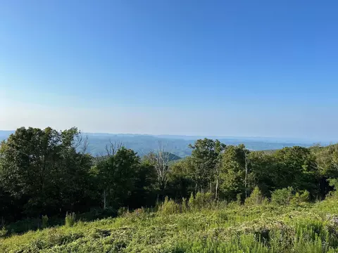 Tract 2 County Road 750, Calhoun, TN 37309