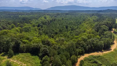 Tract 1 Athens Road, Calhoun, TN 37309