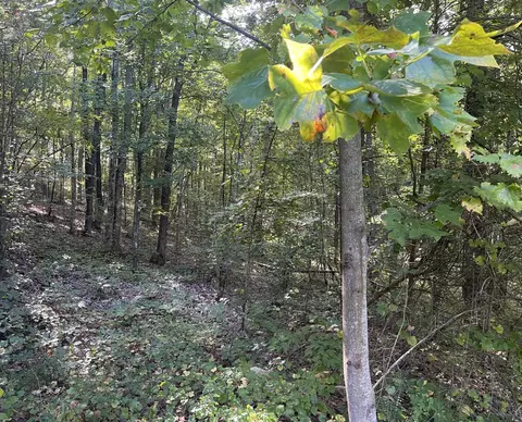 197 Cherokee Winds Dr, Tellico Plains, TN 37385