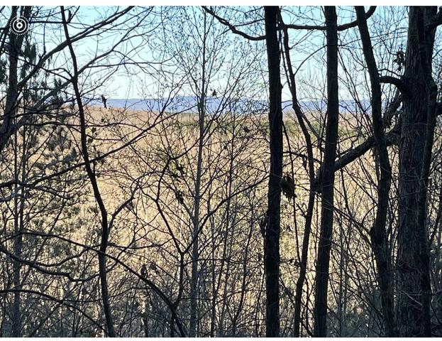 00 County Road 956, Calhoun, TN 37309