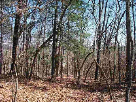 3 64 Acres Lake Forest Dr, Spring City, TN 37381