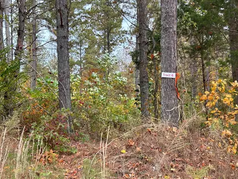 Tract 6r County Road 351, Niota, TN 37826