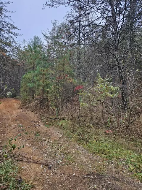 0000 Belaire Dr, Copperhill, TN 37317