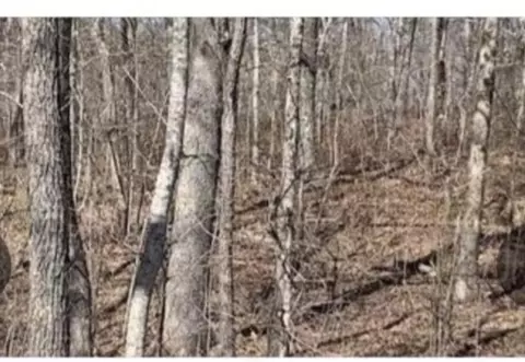 00 Ridge Rd W, Pikeville, TN 37367