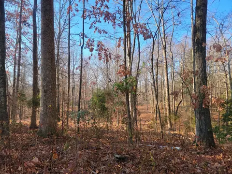 15 73 Ac Clifton Cemetery Rd Off, Spring City, TN 37381