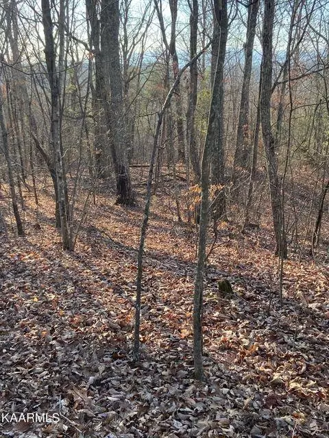 Tract 3 Tomotley Rd., Maryville, TN 37801