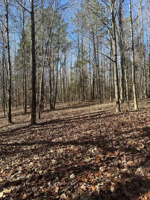 lot1 Lower River Rd NW, Charleston, TN 37310