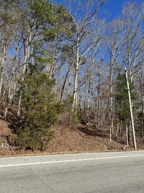 lot3 Lower River Rd NW, Charleston, TN 37310