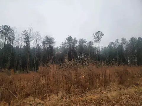 lot69 70 Kings Hill Rd, Spring City, TN 37381