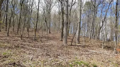 8 43 Acres Spruce Willow Maple, Spring City, TN 37381