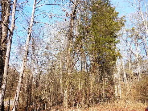 lot1 Little Dogwood Rd, Kingston, TN 37763