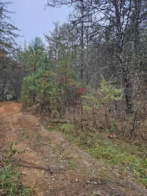 Lt 29 Belaire Drive, Copperhill, TN 37317