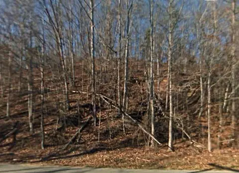 tbd Shiloh Rd, Decatur, TN 37322