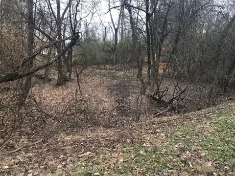 lot50 Cherokee Cir, Ten Mile, TN 37880