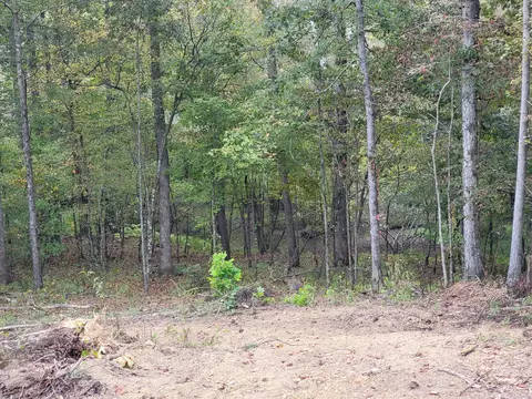 112 NE Deer Ridge Trl, Charleston, TN 37310