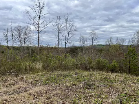 lot4 County Road 188, Decatur, TN 37322