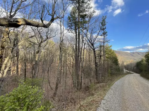 2 54ac Smithfield Harold Witt, Tellico Plains, TN 37385