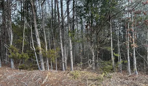 0 Parker Loop Rd, Birchwood, TN 37308