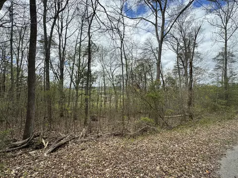 lot91 Butterfly Cove Trl, Decatur, TN 37322