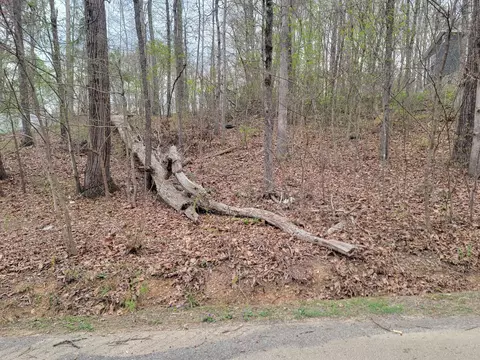lot Apt 37 Hillview Drive Ne Dr NE, Cleveland, TN 37323