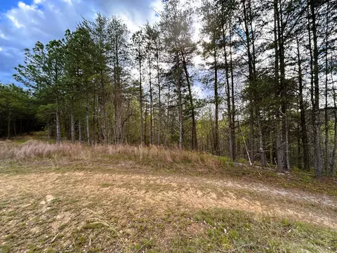 Tract 3 SW Owl Hollow Rd, Mc Donald, TN 37353