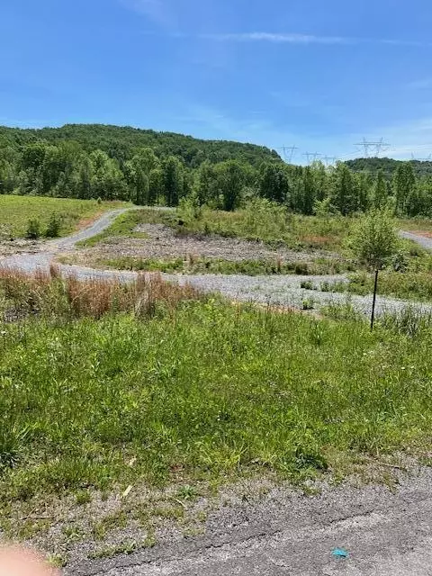 1598 Guinn Narrows Rd, Decatur, TN 37322