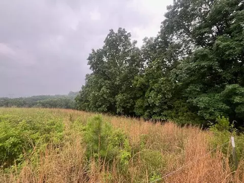 0 Ridgeview Ln, Birchwood, TN 37308