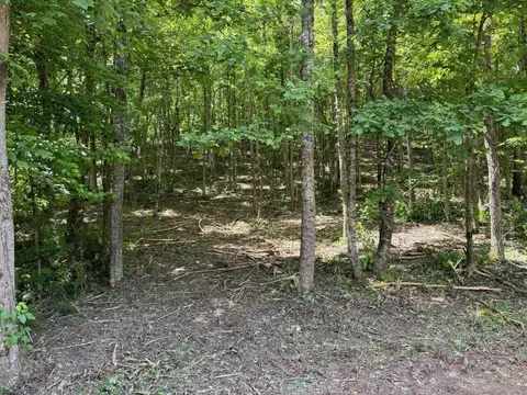 00 Parker Loop Rd, Birchwood, TN 37308