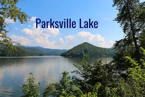 lot207 Ocoee Mountain Clb, Ocoee, TN 37361 photo 4