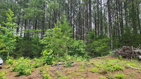 000 County Road 184, Athens, TN 37303