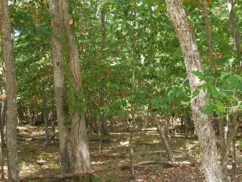 16 Havenridge Ct, Crossville, TN 38558