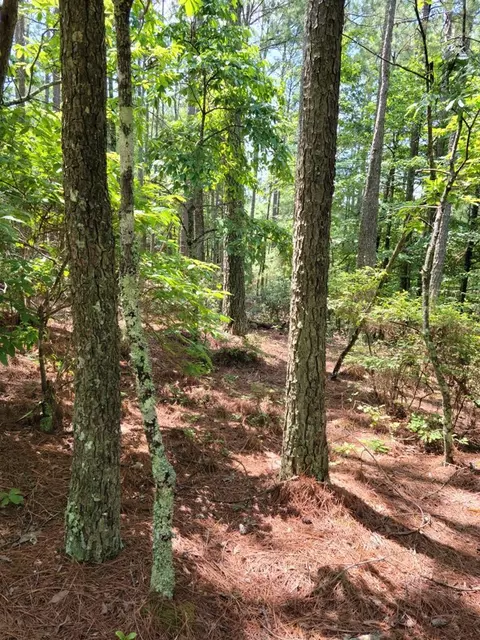 lot28 Belaire Dr, Copperhill, TN 37317