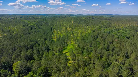Tract 9 Hughes Lake Road Se, Cleveland, TN 37323