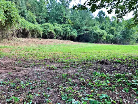 lot3 Oak Grove Rd, Decatur, TN 37322