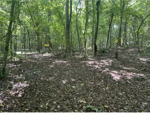 00 County Road 969, Etowah, TN 37331