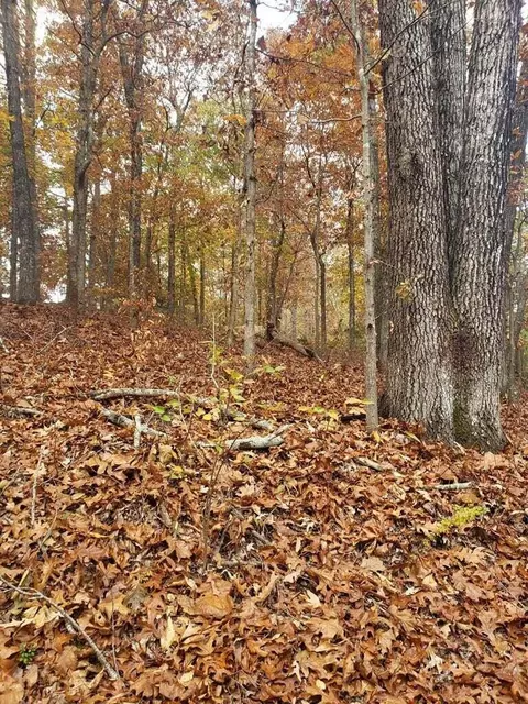 3763 Dixie Court Dr SE, Cleveland, TN 37323