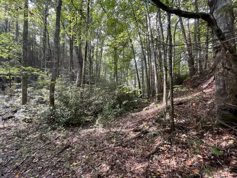 lot16 Steer Crk, Tellico Plains, TN 37385