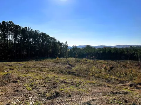 Tract 17 Hughes Lake Road Se, Cleveland, TN 37323
