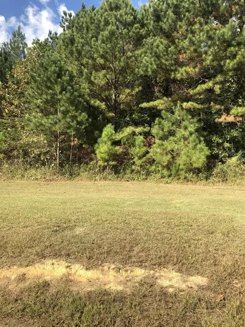 117 Casson Rd, Ocoee, TN 37361 photo 2