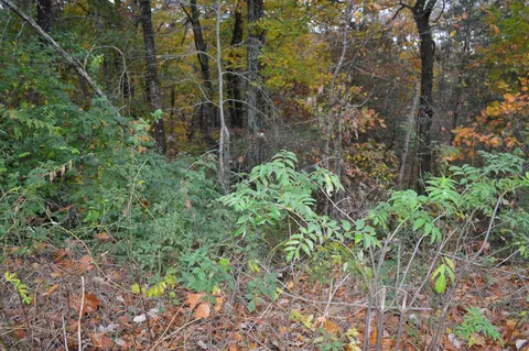 lot3 Hickory Hills Dr NE, Cleveland, TN 37312