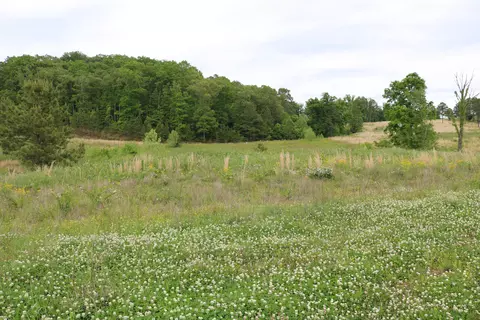 216 Lake Ferry Dr, Lenoir City, TN 37772