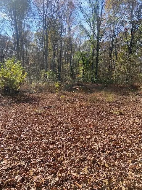 103 Howard, Decatur, TN 37322