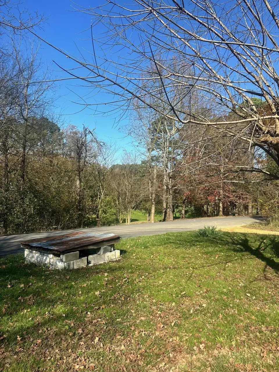 Exterior - 461 Carson Rd SE, Cleveland, TN 37323 photo 3 of 6