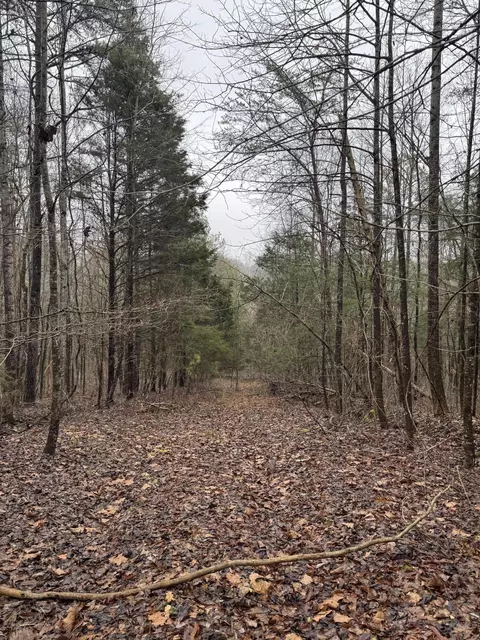 6524 Anderson Acres Dr, Georgetown, TN 37336