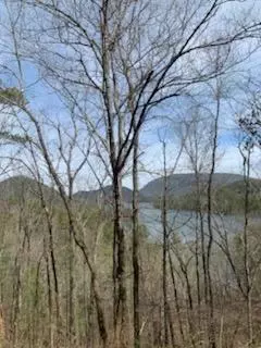 239 Deer Ridge Trl, Ocoee, TN 37361 photo 19