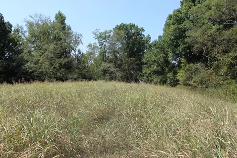 00 The Gates Dr, Decatur, TN 37322